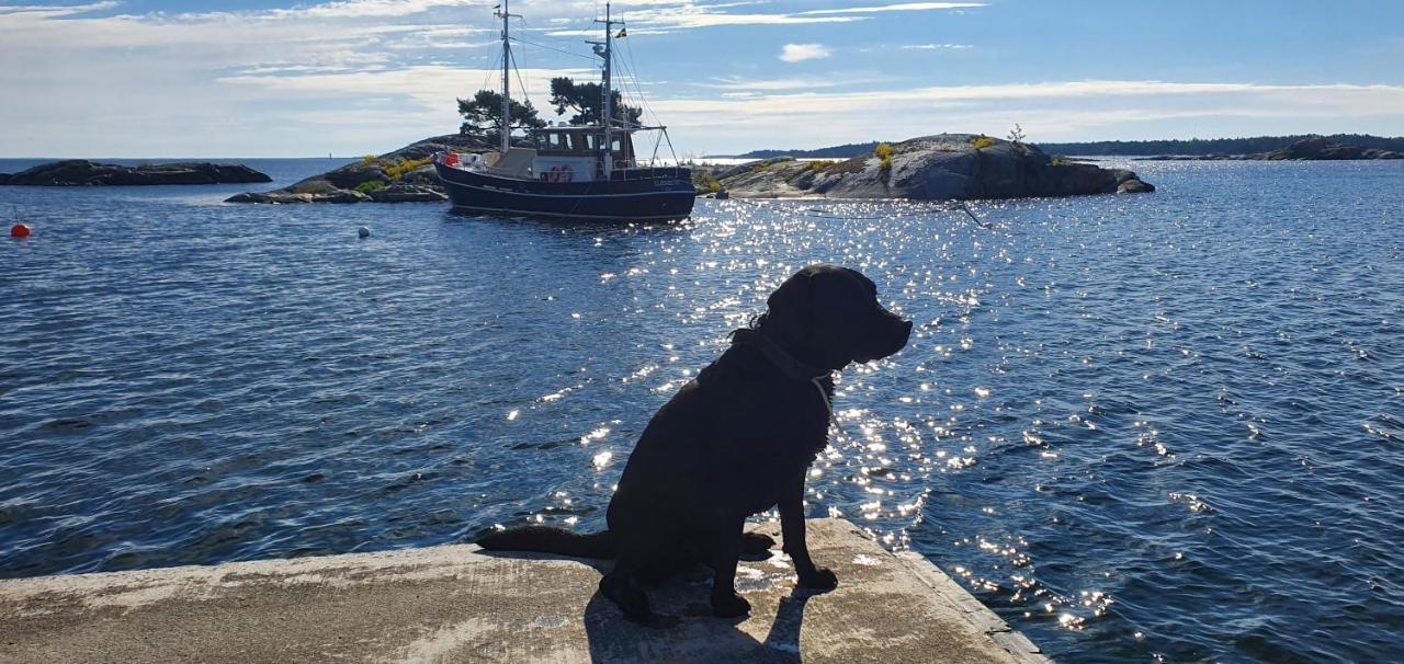 Moeja Stuga I Stockholms Skaergard Dış mekan fotoğraf